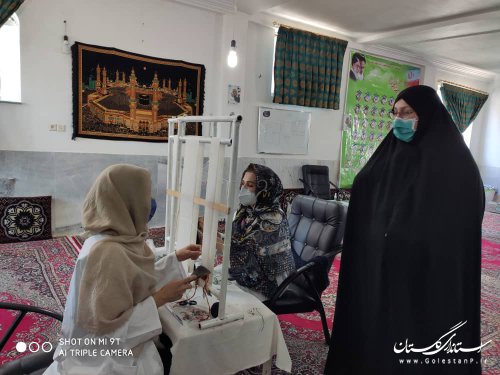 برگزاری طرح توانمند سازی زنان سرپرست خانوار استان در محلات هدف